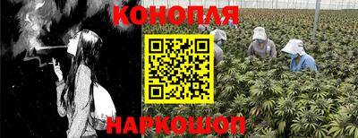 гидропоника Бузулук