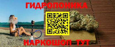 мяу мяу мука Бугуруслан