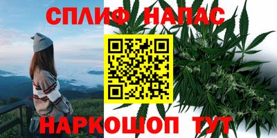 гидропоника Бузулук