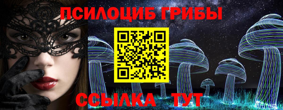 Псилоцибиновые грибы Psilocybe Маркс