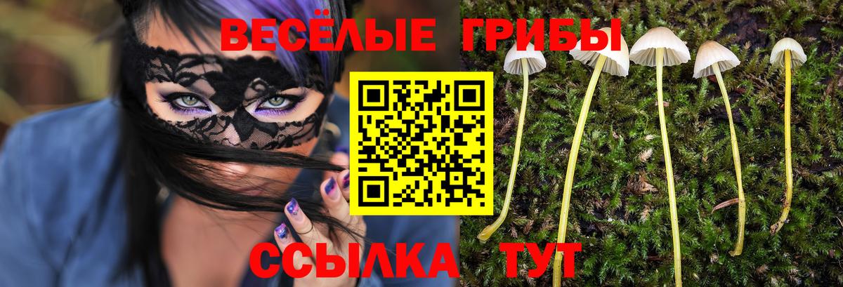 Маркс  Галлюциногенные грибы Psilocybine cubensis  Галлюциногенные грибы мицелий  Вход с VPN 